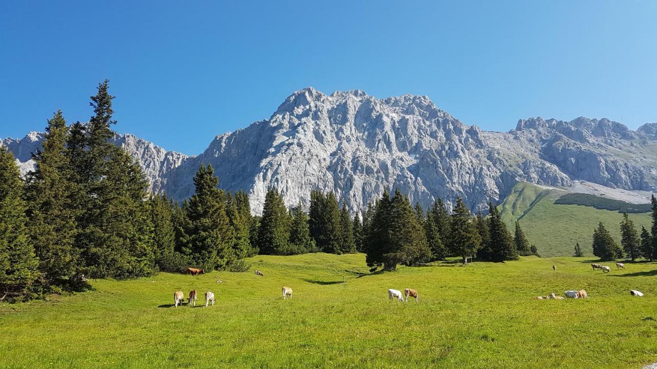 Ferienhaus Villa Alpenpanorama 올스타트 외부 사진